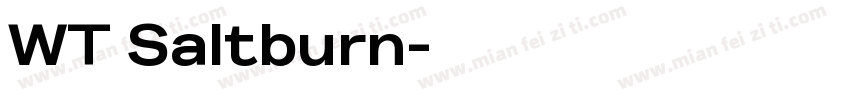 WT Saltburn字体转换